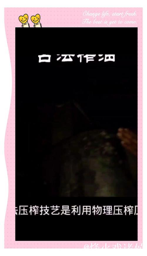 老味新传 老味新传